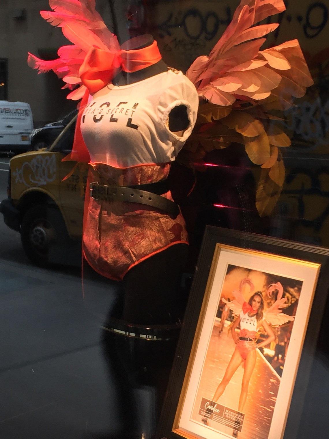 photo 15-01-2019, 15 42 53 (1)